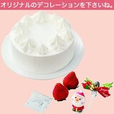 手づくり用クリスマスデコレーションケーキセット５号